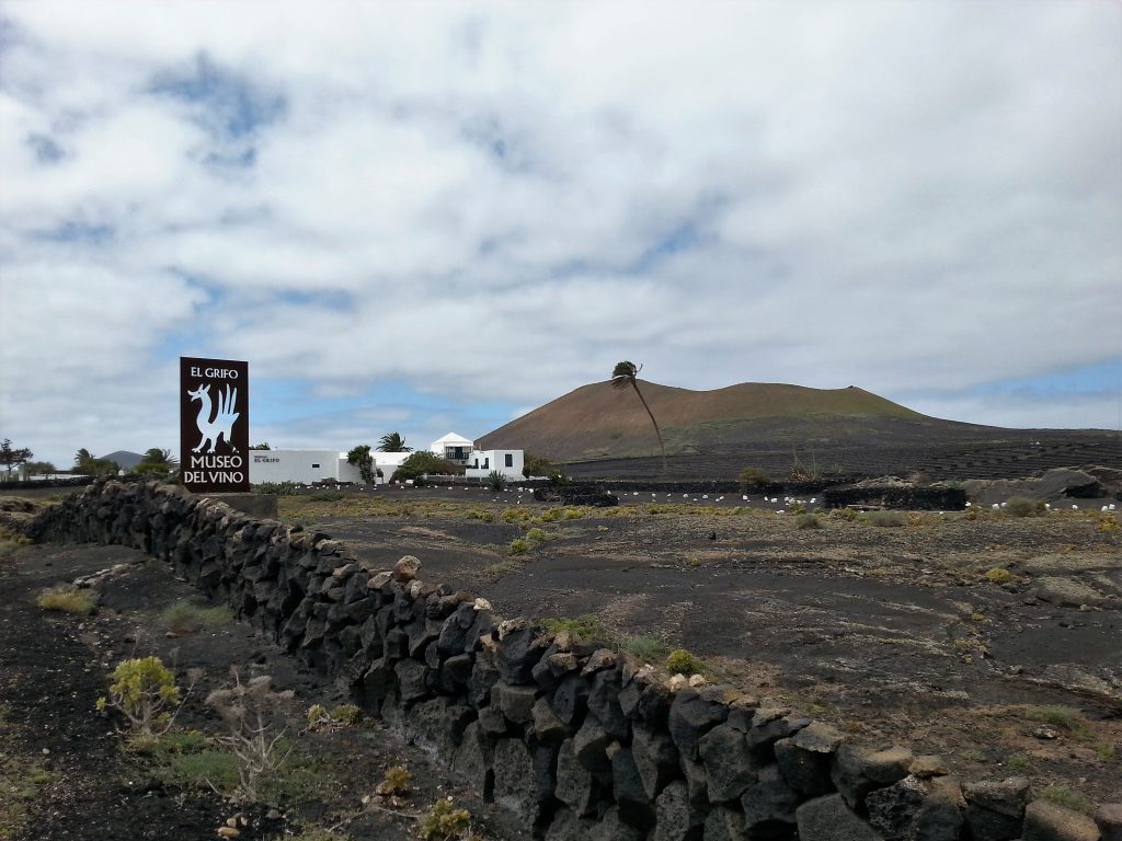 vino di lanzarote