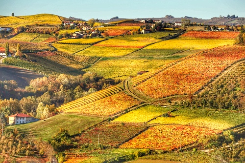 langhe