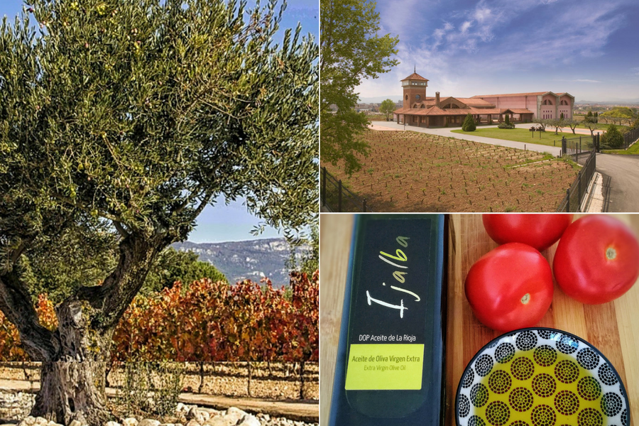 La Rioja - Viña Ijalba