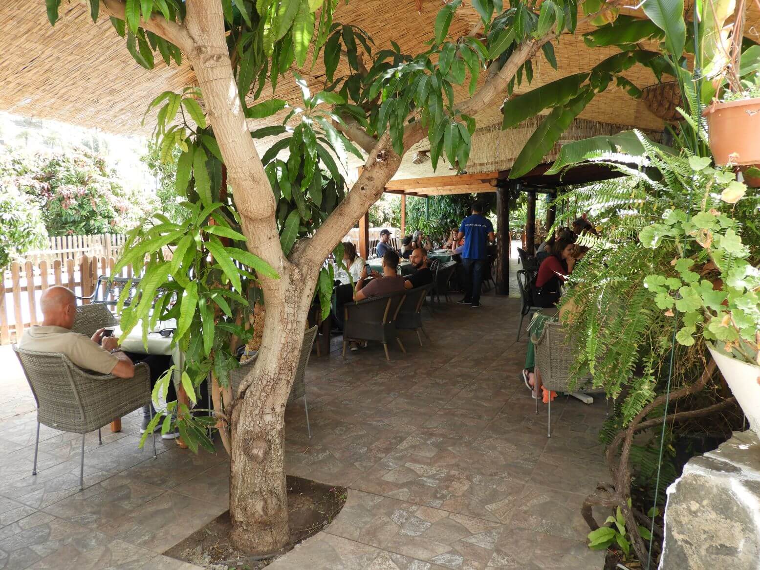 bodega los berrazales