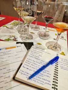 Degustazione Vinos de Lanzarote