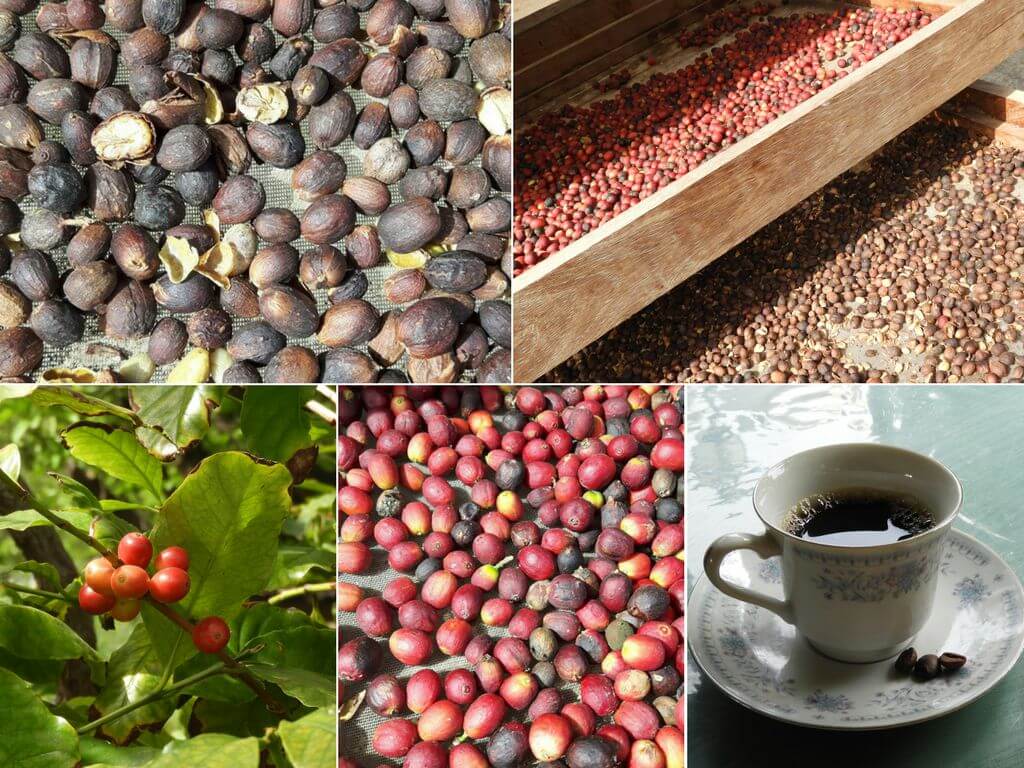 bodega los berrazales