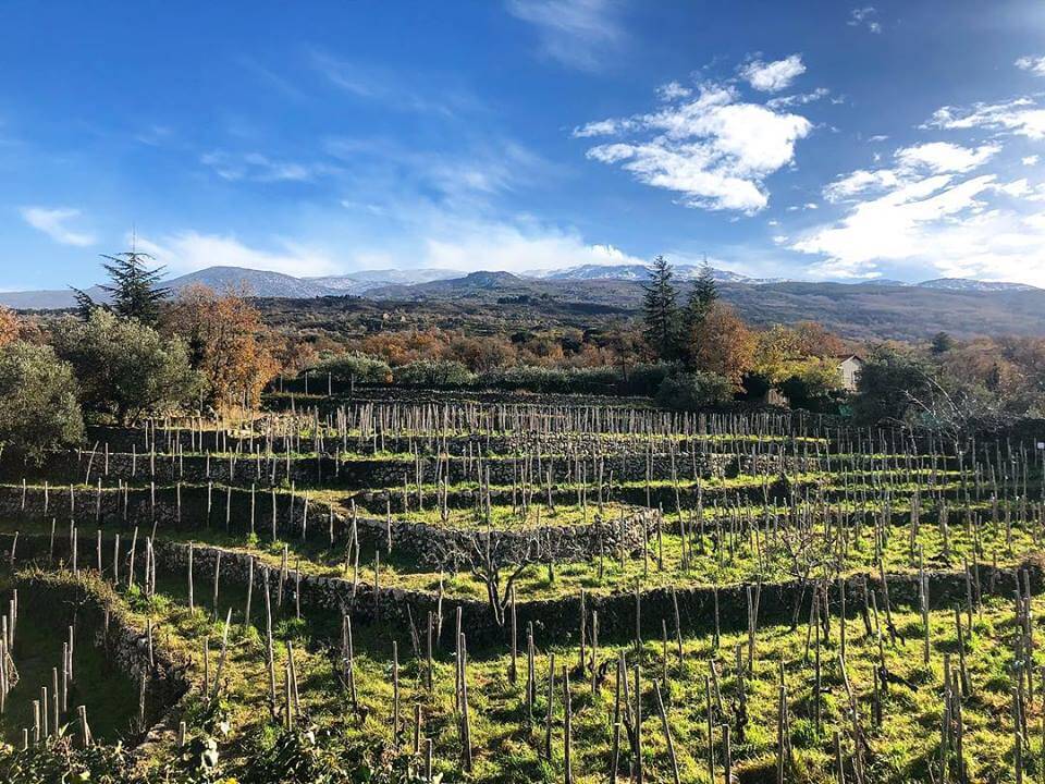Etna: itinerario enoturistico - Terrazze dell'Etna