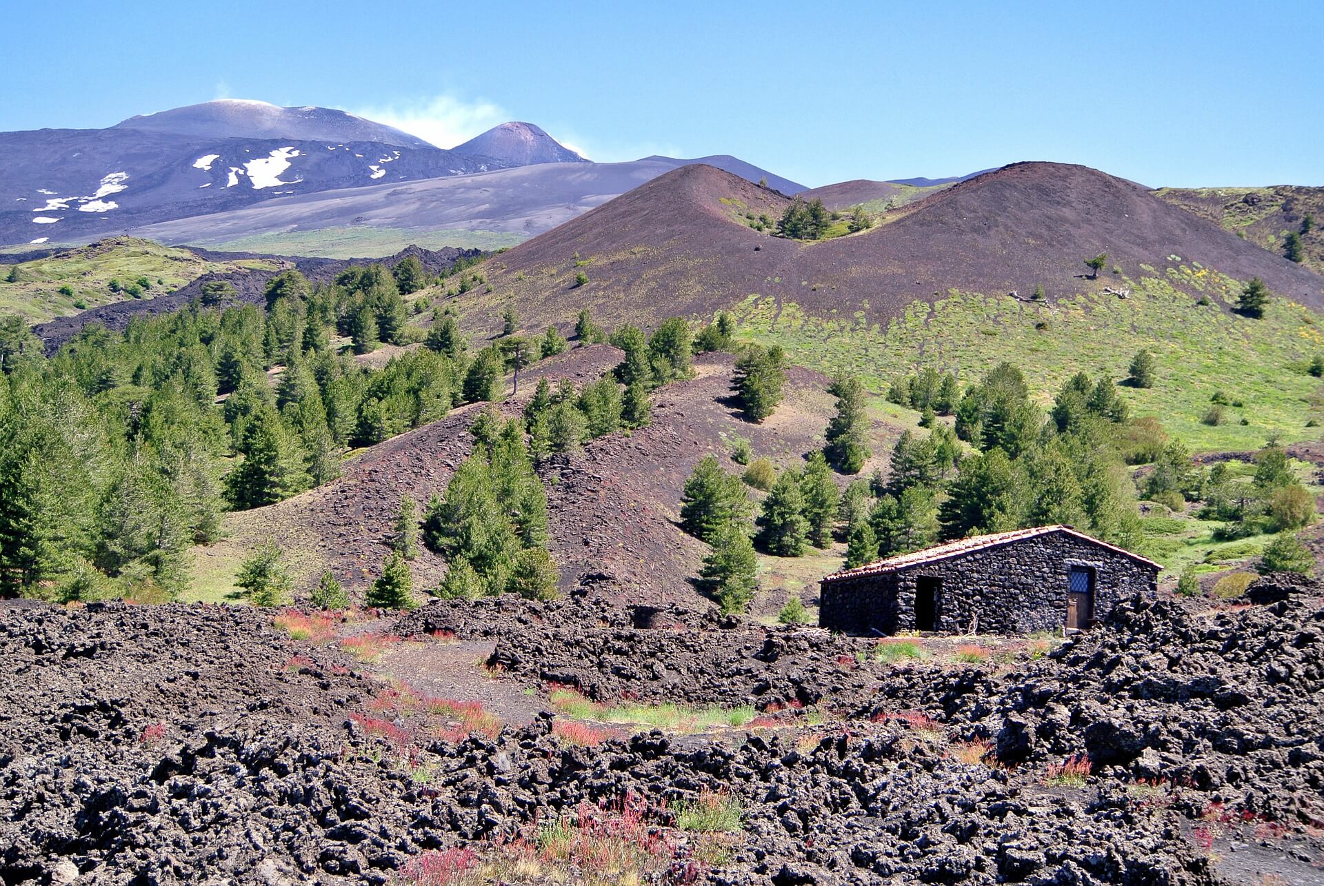 Etna: itinerario enoturistico