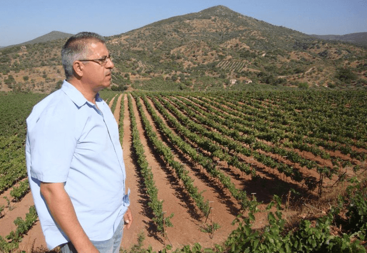 Monemvasia Winery - Tsibidis