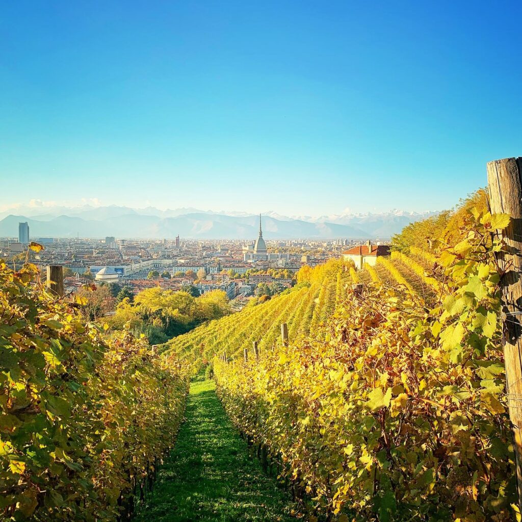 Veduta di Torino da Vigna della Regina