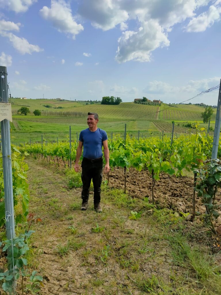 adotta il tuo filare in toscana - claudio