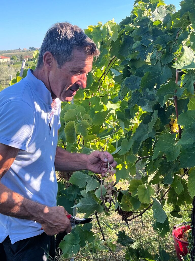 Claudio vignaiolo di Casalsole